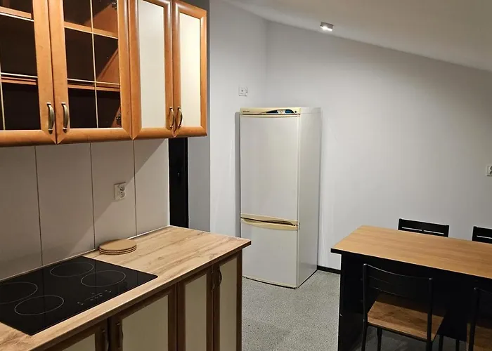 Kwateromat Goscinne I Pracownicze Apartmán Dąbrowa Górnicza