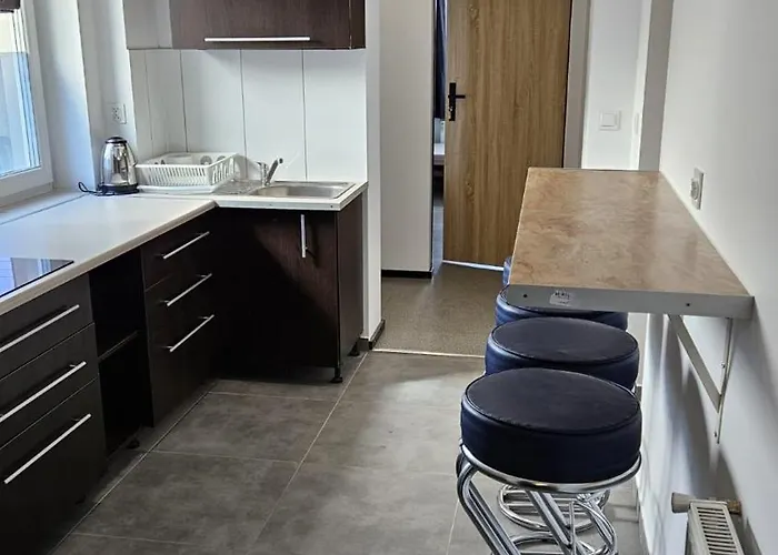 Apartment Kwateromat Goscinne I Pracownicze Dabrowa Gornicza
